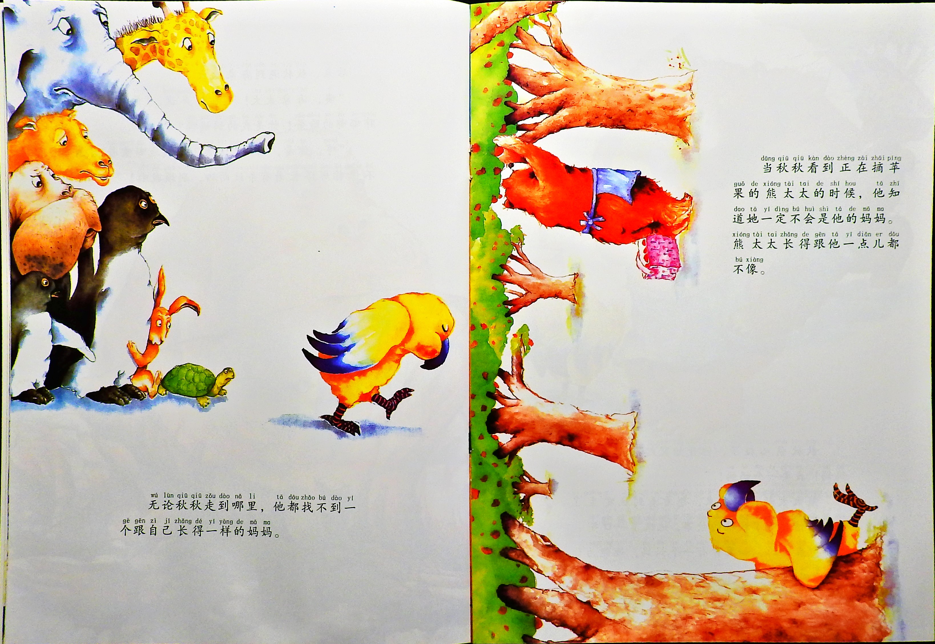 秋秋找妈妈 (07),绘本,绘本故事,绘本阅读,故事书,童书,图画书,课外阅读